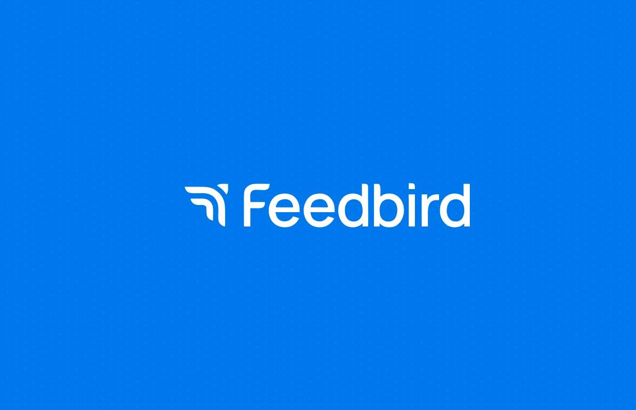 Visual identity and marketing collateral for affordable social media management